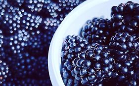 Blackberryhouse