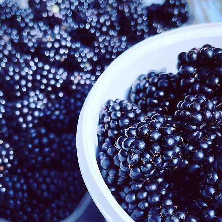 Blackberryhouse Ærøskøbing Eksteriør billede