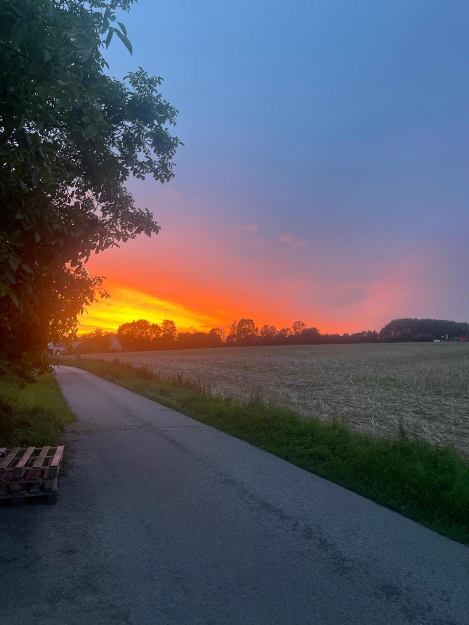Blackberryhouse Ærøskøbing Eksteriør billede