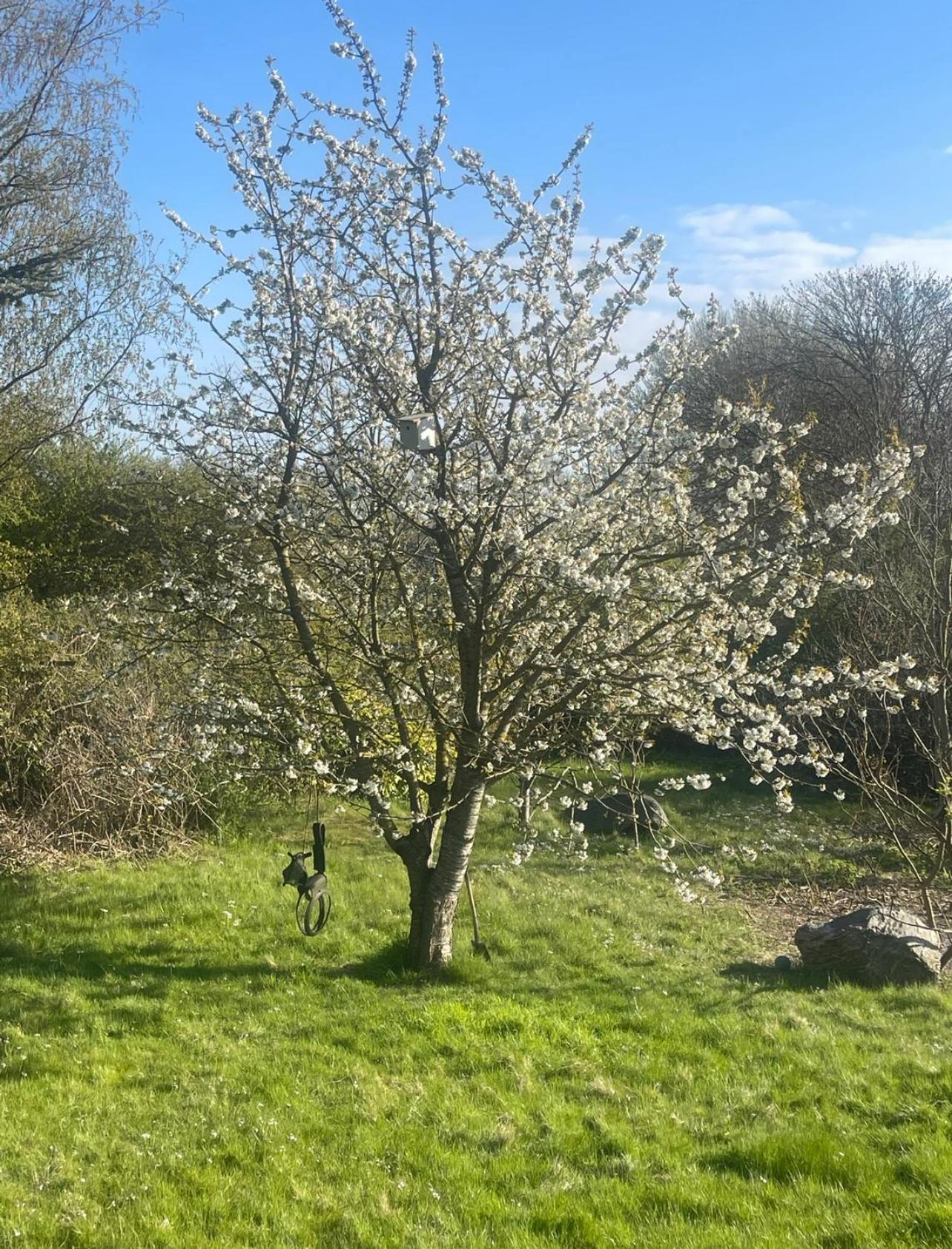 Blackberryhouse Ærøskøbing Eksteriør billede