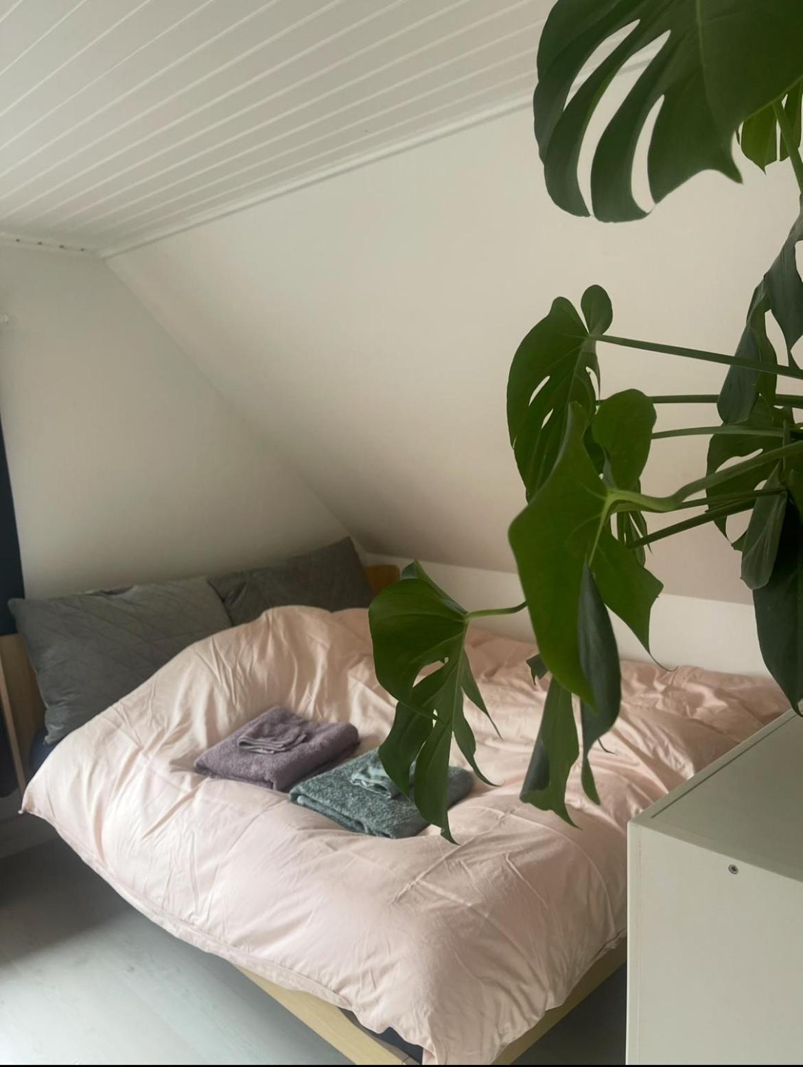 Blackberryhouse Ærøskøbing Eksteriør billede